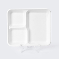 Assiettes carrées de bagasse de canne à sucre jetables, écologiques et personnalisables, de haute qualité, de couleur personnalisée