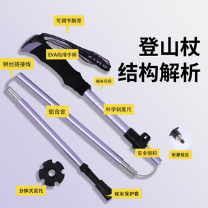 Bâtons de randonnée pliables, 36 cm, compacts, légers, portables, pour la randonnée en plein air - Product Image 2