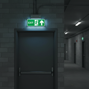 Señal Luminosa Fotoluminiscente de Salida con Flecha Ascendente, 220V, LED SMD, IP65, Acero, para Interiores/Exteriores, Funcionamiento Continuo - Product Image 3