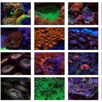 Filtro de Acuario Ecológico de Plástico para Agua de Mar en Caja, para Fotografía con Teléfono Móvil, Gran Angular, Macro, Uso en Exteriores