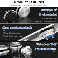 Interrupteurs à bouton poussoir CE Rohs 12mm 16mm 19mm 22mm 25mm 30mm en acier inoxydable avec boîtier noir électro-plaqué IP67
