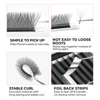 Extensions de Cils En Gros Forme W Effet Trèfle 3D 4D 5D 6D YY, Cils Entrecroisés WYY, Plateaux à Cils Marque Privée