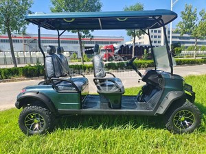 Carrito de Golf Compacto de 2 Plazas con Dirección Flexible, Carrocería Ligera y Fácil Control – Más Conveniente para Uso Personal en el Golf - Product Image 2