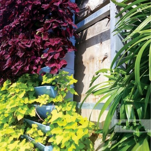 Jardinera Vertical de Plástico para Pared, Macetas para Flores DIY, Productos Patentados SOL - Product Image 5