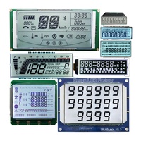 RoHS — module lcd monochrome personnalisable à 7 segments, affichage graphique FSTN/STN/HTN/TN cog pour l'industrie