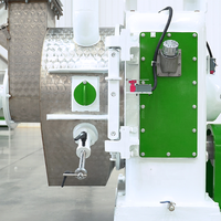 Machine à granulés de paille de pin RICHI - Granulateur à matrice annulaire personnalisé pour la fabrication de granulés de bois