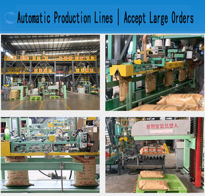 Pó de Ozônio para Equilíbrio de Água Agente Auxiliar para Tratamento Químico de Piscinas Embalado em Saco - Product Image 5