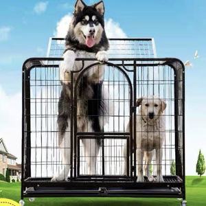 กรงสุนัขโลหะขนาดใหญ่พับได้,กรงสุนัขเหล็กขนาดใหญ่สำหรับขายสินค้าจากโรงงานโดยตรง - Product Image 5