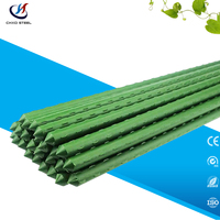 Piquets de jardin en acier galvanisé en gros, supports de plantes métalliques robustes, fournisseur OEM personnalisé Chine, commande en gros