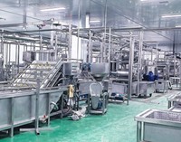 Fruitpulp Sap Concentraat Drank Maken Machine Mango En Ananas Dranken Verwerking Productielijn