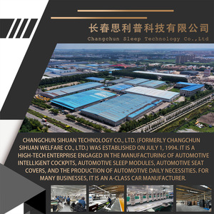 וילונות לחלונות של קרוואן ירוק ולימוזינה |   רקמה בהתאמה אישית לשמשה קדמית של משאית וחלונות צד - Product Image 6