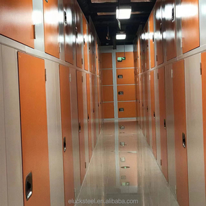 Unidades de Almacenamiento Personalizadas de Alta Calidad con Puertas con Cerradura, Mini Unidades de Almacenamiento Interiores en Venta - Product Image 3