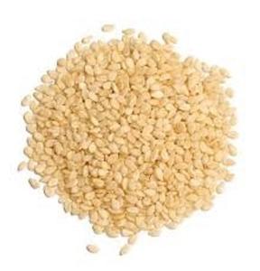 Semillas de Sésamo (Til) Orgánicas y Naturales Premium – Especias Herbales en Polvo Orgánico de Origen India Precio al por Mayor - Product Image 4