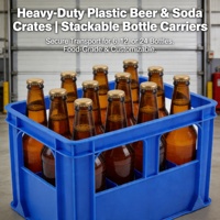 Caisses de rangement en plastique pour bière, empilables, recyclables, écologiques, perforées et épaissies, boîtes de rangement pour 12 bouteilles