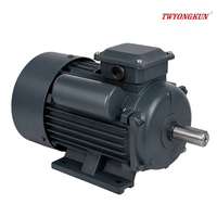 Moteur à induction monophasé Ariely Electric 1HP 2HP 3HP 220V-230V, efficacité IE3, protection IP44/IP54, certifié CCC/CE, YL YC