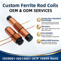 Stylet personnalisé avec bobine en ferrite pour tablette graphique et d'apprentissage, bobine d'inductance d'antenne RFID LF