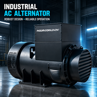 Alternateur AC sans balais industriel 320 kW 400 kVA avec AVR type Stamford pour groupe électrogène diesel