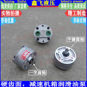 YNBB-B2.5F B4F B6F B10F Bomba de Aceite Lubricante para Caja de Cambios Endurecida SATA YSBB Aceites Diferenciales - Product Image 1