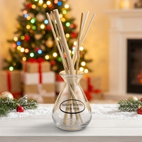 Diffuseur de parfum d'ambiance en verre personnalisé avec bâtonnets, pour huiles essentielles et parfums, ensembles de diffuseurs à bâtonnets aromatiques