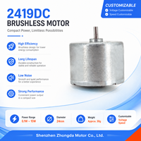 Motor Listrik DC Brushless Mini 2419 untuk Kipas untuk Mainan 0.1W hingga 15W 1500rpm 5000rpm 8000rpm