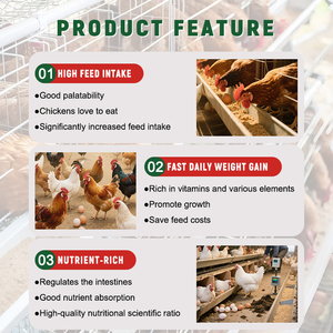 Lv251 Chick Starter premix 25 kg/túi thức ăn gia cầm phụ gia cho 0-8 tuần khả năng miễn dịch cao vitamin & khoáng chất thức ăn chăn nuôi - Product Image 5