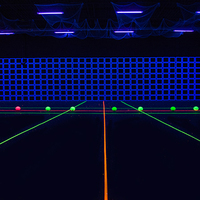 Sqarcade Black Light Dodge Ball : Jeu interactif lumineux pour parcs d'attractions, sports en intérieur, jeux de rassemblement, salles de jeux et activités d'équipe