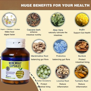 गर्म बिक्री वयस्क वसा बर्न ब्लॉकर चयापचय तेजी से अभिनय भूख को दबाने वाली भूख को कम करता है - Product Image 1