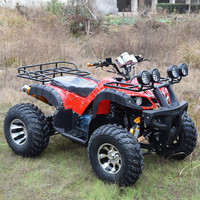 Buggy de plage tout-terrain 300 CC avec transmission par arbre de 8 et 10 pouces, moto tout-terrain, kart à quatre roues tout-terrain
