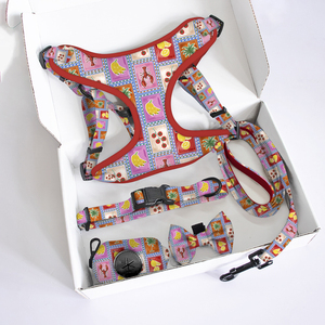 Harnais de luxe pour chien, motif cœur et patte, boutique pour animaux de compagnie, couverture d'hiver chaude pour chien, couverture de Noël, logo personnalisé, collier et laisse réglables pour animaux de compagnie - Product Image 2