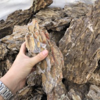 Roche de pierre d'os de dragon de couleur naturelle d'aquarium d'aménagement paysager brun pour aquarium
