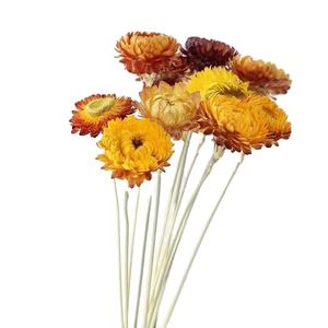 ดอกสตรอเวอรี่อบแห้ง20ชิ้น/แพ็คดอกไม้ธรรมชาติสีสันสดใสสำหรับตกแต่งบ้าน - Product Image 6