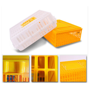 Nueva Jaula de Transporte de Pollos de Plástico para Granja, Tipo H, Capacidad para 10-20 Pollos - Product Image 2