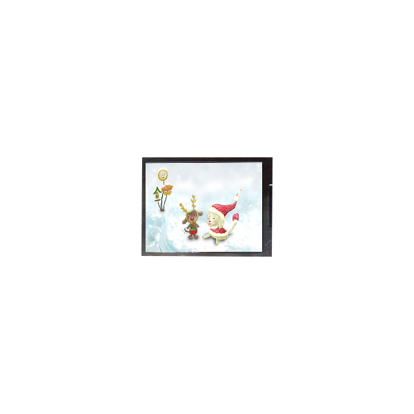 F050A19-601 5.0 Inch 720*1280 Favorable price LCD Display Screen for Mobile Phone