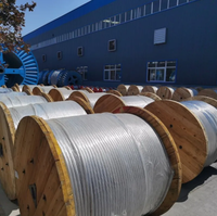 Für 70mm2-300mm2 Einadriges Blankes Aluminium-Stromkabel Niederspannung 10KV Stahldrahtarmiert (STA) Freileitung -20~+70