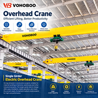 Grue à poutre simple VOHOBOO de 1 tonne avec hauteur de levage de 10 m et garantie d'un an