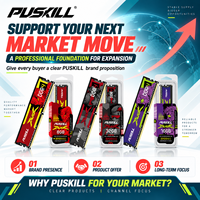 PUSKILL Mémoire RAM DDR4 Haute Vitesse 16 Go 3200 MHz 288 Broches UDIMM pour PC de Bureau et Mise à Niveau de Système Professionnel