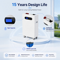 Système de stockage d'énergie domestique hybride empilable LiFePO4 Premium 16 kWh 51,2 V 314 Ah avec communication CAN intelligente pour la solution d'alimentation de secours de toute la maison