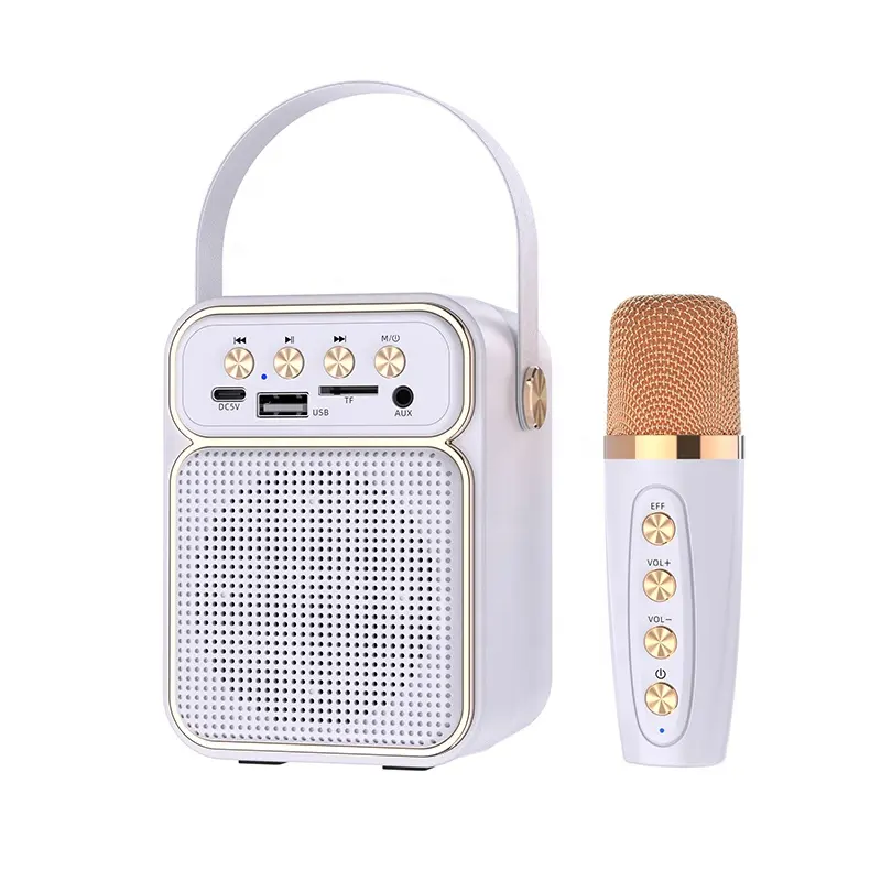 ES-4049 TWS Fonction Family FM Radio BT Haut-parleur karaoké portable avec microphone