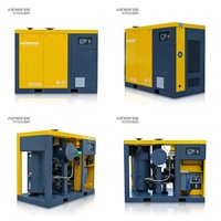 Pompe à vide à vis à injection d'huile Airking, pompe à vis à économie d'énergie avec variateur de vitesse (VSD)