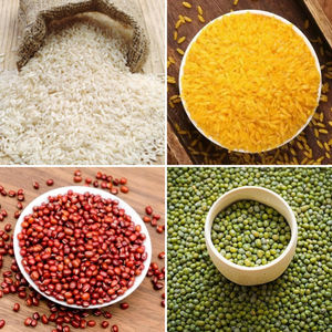 Laveuse de riz commerciale automatique - Product Image 6