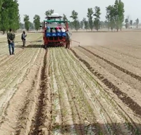 Machine à repiquer les semis, repiqueuse d'oignons, repiqueuse de légumes