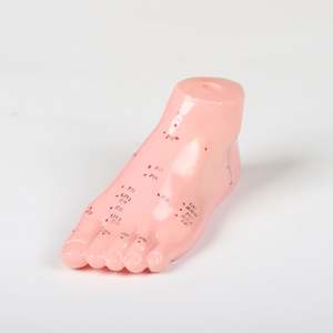Modèle d'<span class=keywords><strong>acupuncture</strong></span> des pieds, médecine chinoise, 13cm, Science du corps, réflexologie, nouveau - Product Image 1