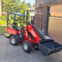 Kostenloser Versand 4-Rad-Minilader mit CE EPA Motor, Landwirtschaftlicher Frontlader, Teleskop-Radlader, Hydraulischer Diesel-Radlader