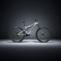 Vélo de montagne électrique Amflow PL Carbon Medium 800Wh Enduro, vélo électrique tout-terrain