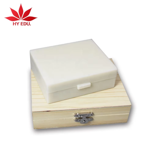 生物組織細胞スライド 顕微鏡スライド ガラス 小腸 人間組織学スライド - Product Image 3