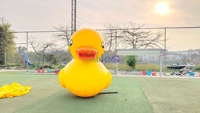 Modèle géant de canard jaune gonflable pour l'extérieur et l'intérieur, pour la décoration publicitaire.