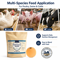Poudre d'Enterococcus Faecalis 10 milliards UFC/g Probiotique Qualité Alimentaire Acides Aminés Additif Alimentaire pour Animaux pour la Santé Intestinale OEM Vrac