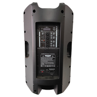 Système audio en direct professionnel OEM Nouveau 15 pouces en plastique actif gamme complète DSP PA Enceinte Boîte 4 canaux