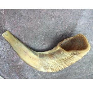 Corne de bélier polie Shofar des béliers de bélier 50 pièces matériau organique religieux moderne CI2014 soufflant nouvel âge fabriqué - Product Image 1
