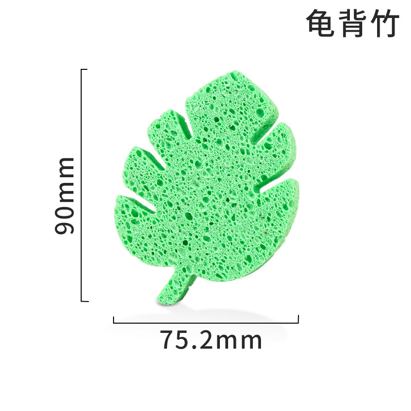 Monstera délicieuse 90mm*75.2mm